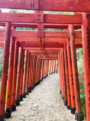 祐徳稲荷神社の鳥居