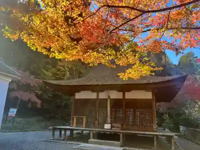 白山神社(滋賀県)