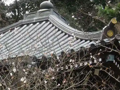 安國論寺（安国論寺）の自然