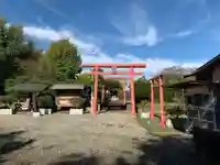 大杉神社(千葉県)