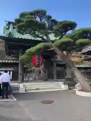 長谷寺の山門