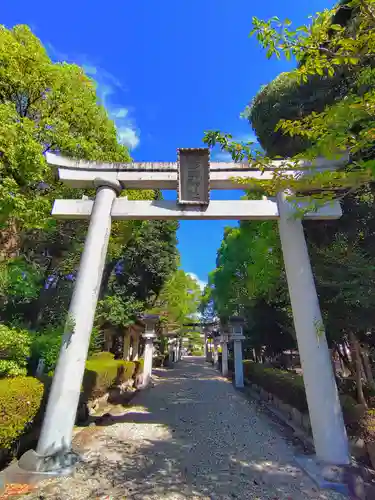 島田神社の鳥居