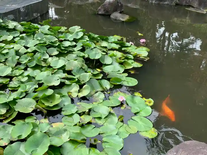 大生郷天満宮の動物