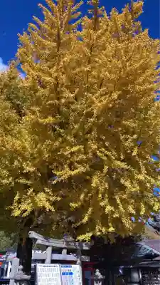 瀧宮神社(広島県)