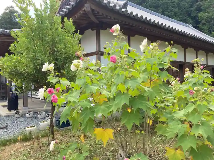 橘寺の庭園