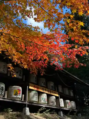 新海三社神社(長野県)