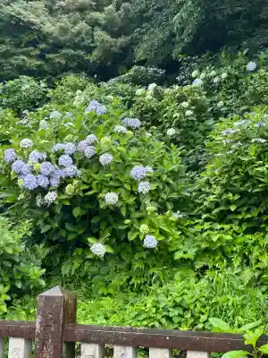 粟井神社(香川県)