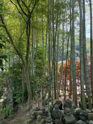報国寺(神奈川県)