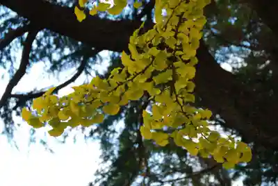 乃木神社(山口県)