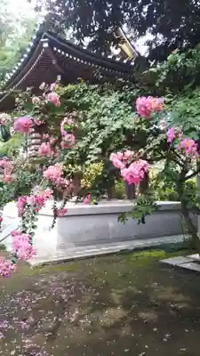 長久寺のその他建物