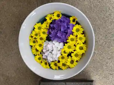 白金氷川神社(東京都)