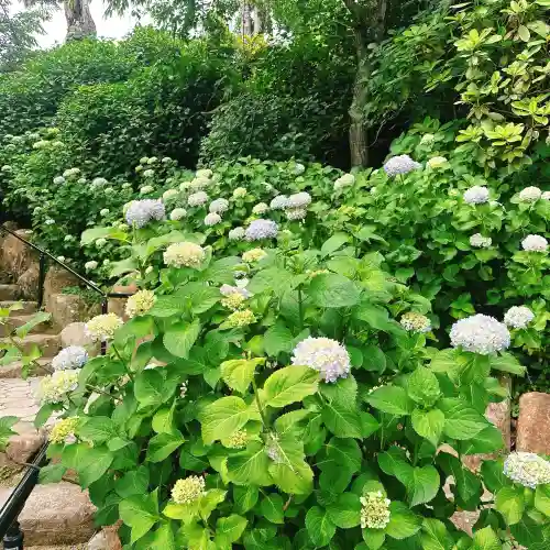 楽法寺（雨引観音）(茨城県)
