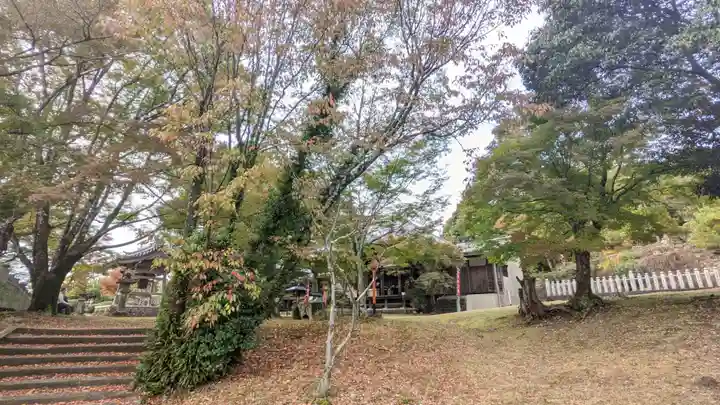 犬山寂光院の自然