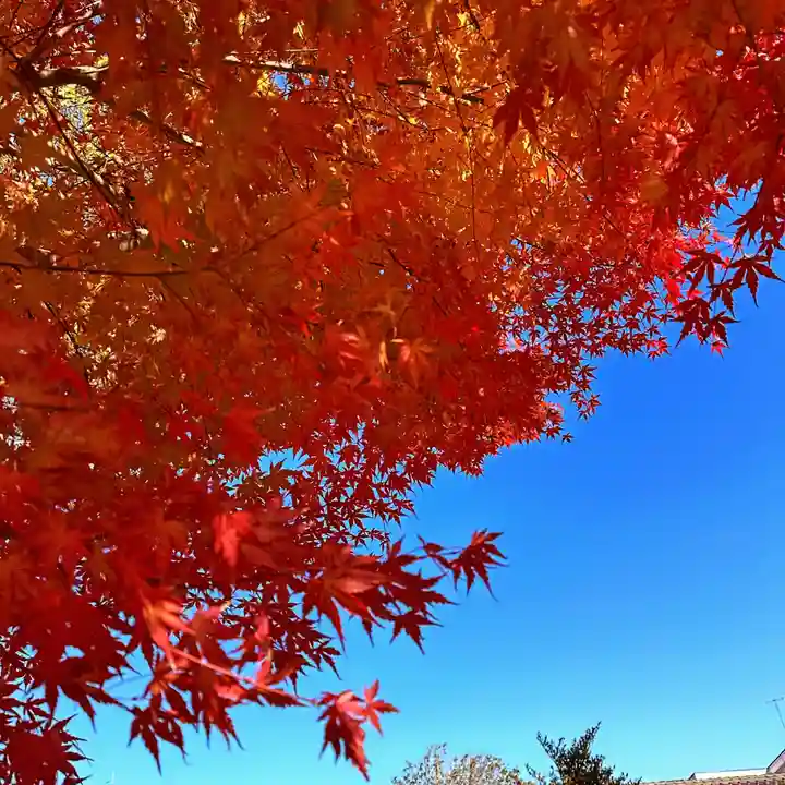 豊景神社(福島県)