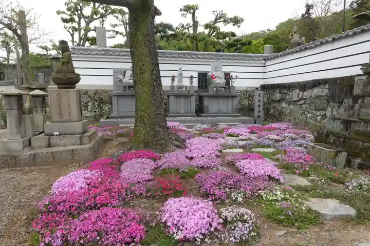 郷照寺(香川県)