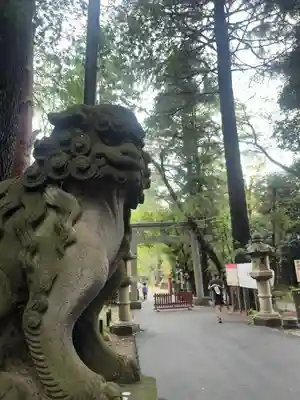 岩槻久伊豆神社(埼玉県)