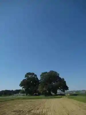 神明神社(千葉県)