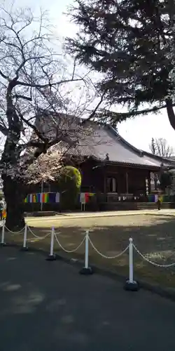 寛永寺(根本中堂)の本殿・本堂