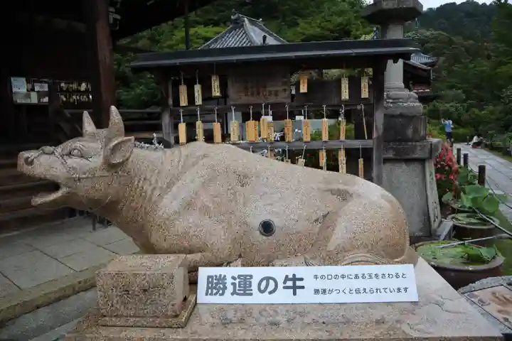 三室戸寺(京都府)
