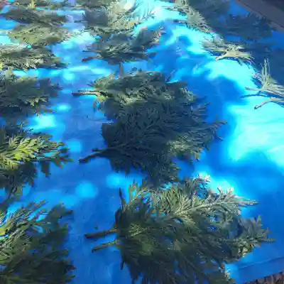 七重浜海津見神社のその他建物