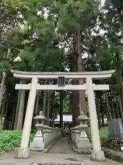 山宮浅間神社の鳥居