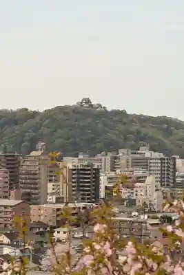 松山神社(愛媛県)