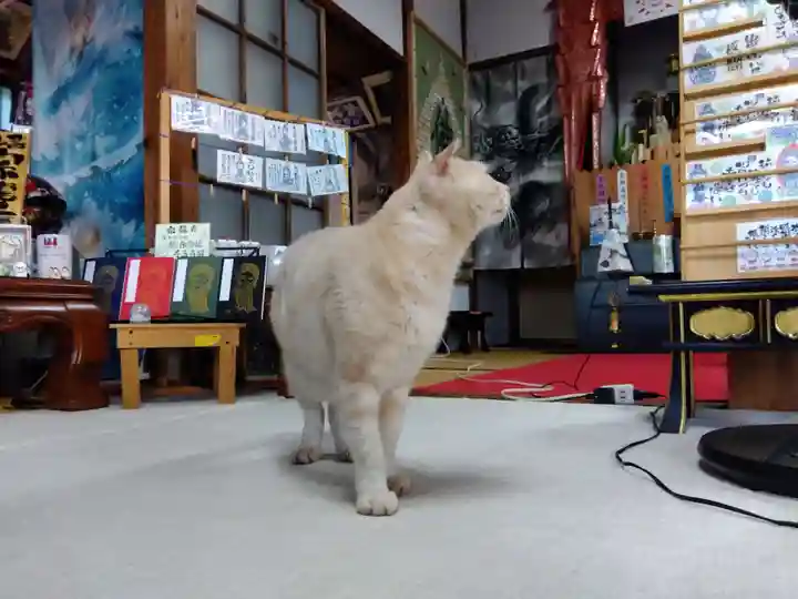 宗龍寺(愛知県)