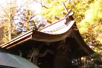 磯部稲村神社の{uncategorized: "未分類", other: "その他", undefined: "問題あり", building: "その他建物", grave: "お墓", sacred_gate: "鳥居", guardian: "狛犬", statue: "像", buddha: "仏像", history: "歴史", nature: "自然", garden: "庭園", animal: "動物", pagoda: "塔", temizu: "手水舎", mountain_gate: "山門・神門", sanctuary: "本殿・本堂", subordinate: "末社・摂社", art: "芸術", scenery: "景色", jizo: "地蔵", ema: "絵馬", goshuin: "御朱印", omikuji: "おみくじ", items: "授与品その他", amulet: "お守り", goshuincho: "御朱印帳", eats: "食事", festival: "お祭り", votive_dance: "神楽", shichigosan: "七五三参", wedding: "結婚式", experience: "体験その他", initially: "初詣", around: "周辺", anti_infection: "感染症対策"}