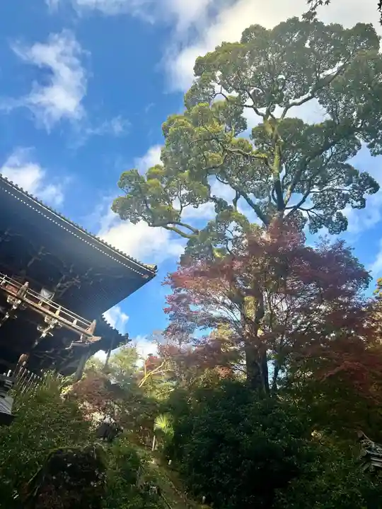 圓教寺(兵庫県)