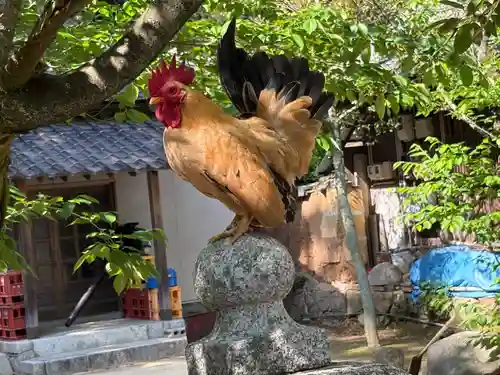 忌宮神社(山口県)