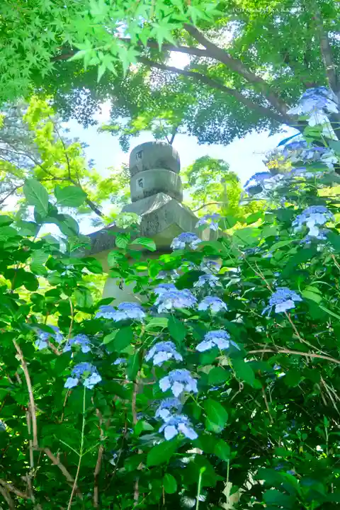高幡不動尊 金剛寺(東京都)