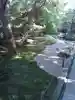 報国寺の庭園