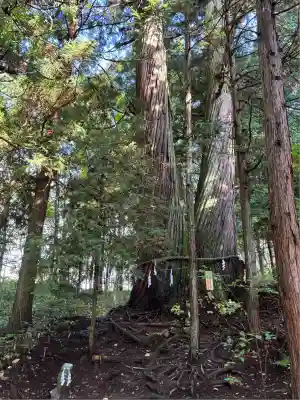 戸隠神社火之御子社(長野県)
