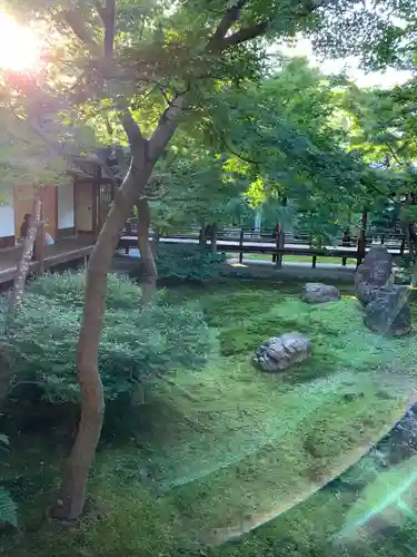 建仁寺（建仁禅寺）の庭園