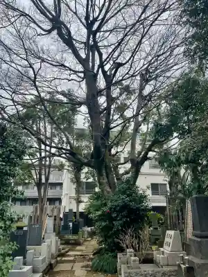 誓閑寺(東京都)