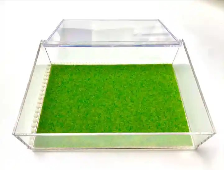 仙台東照宮(宮城県)