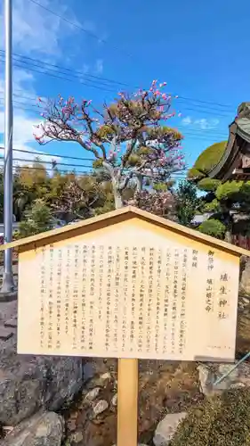 埴生神社の歴史