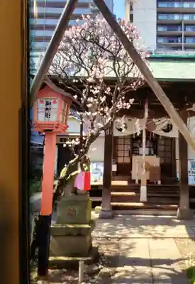 四谷於岩稲荷田宮神社(東京都)
