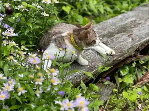 修那羅山安宮神社(長野県)