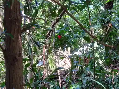 香取神宮(千葉県)