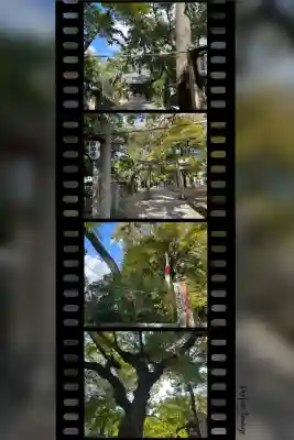 鳴尾八幡神社(兵庫県)