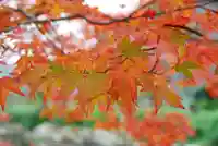 東行庵(山口県)