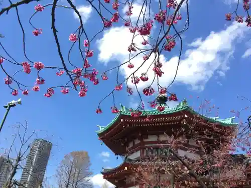 寛永寺不忍池弁天堂のその他建物