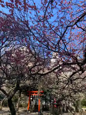 町田天満宮(東京都)