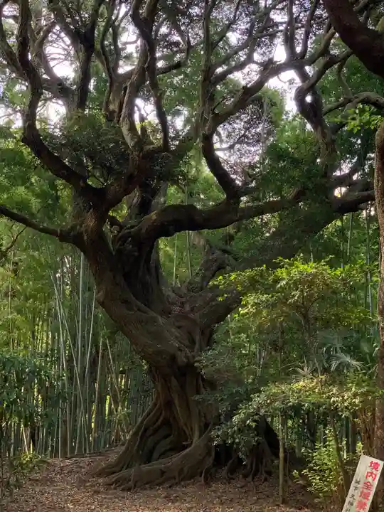 天神社(千葉県)