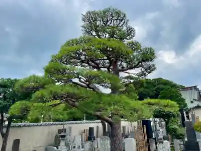 大運寺(神奈川県)