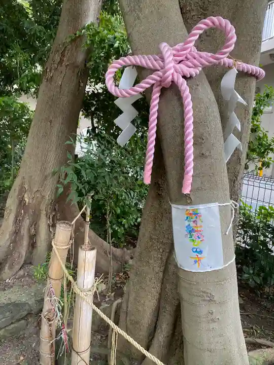 伊和志津神社(兵庫県)