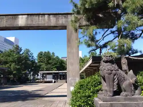 福井神社(福井県)