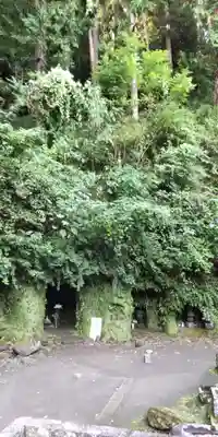 寿福寺(神奈川県)