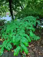 大山祇神社(福岡県)